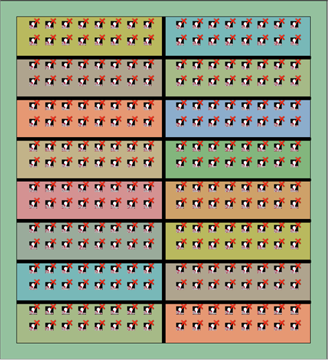 Program/Simulate Echo Expansion Bridge